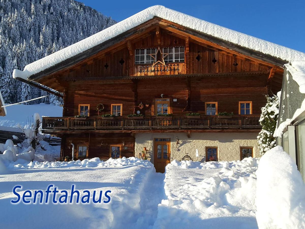 Ferienwohnung Senftahaus 英维格拉顿 外观 照片